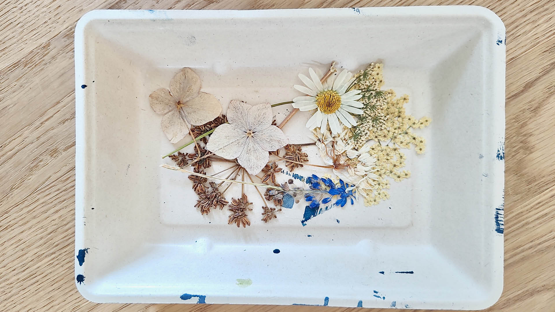 gepresste Blumen in Papier-Schale