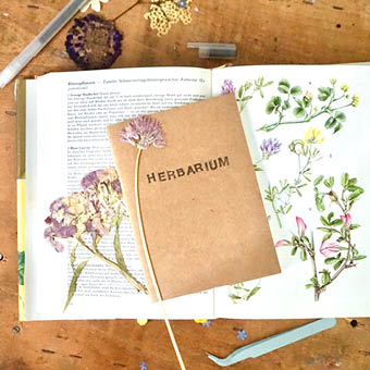Kleines DIY-Buch "Herbarium", gepresste Blüten, Naturkunde-Buch