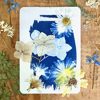 Sunprint
