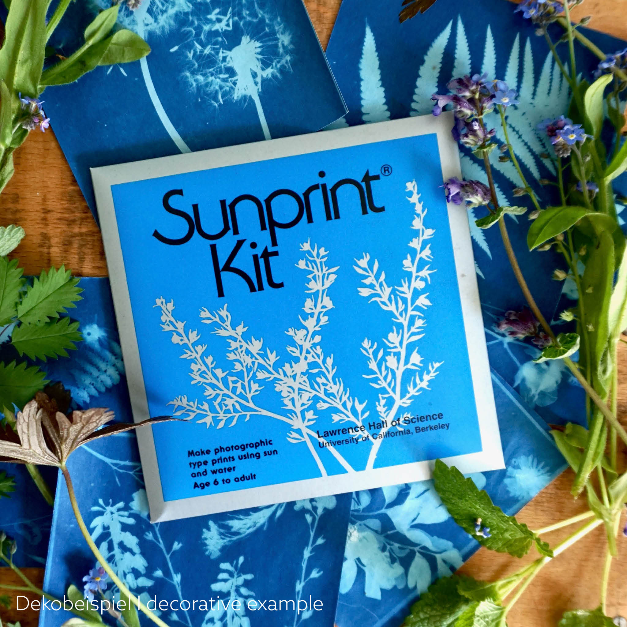 Sunprint Kit mit Sonnendrucken und Blumen