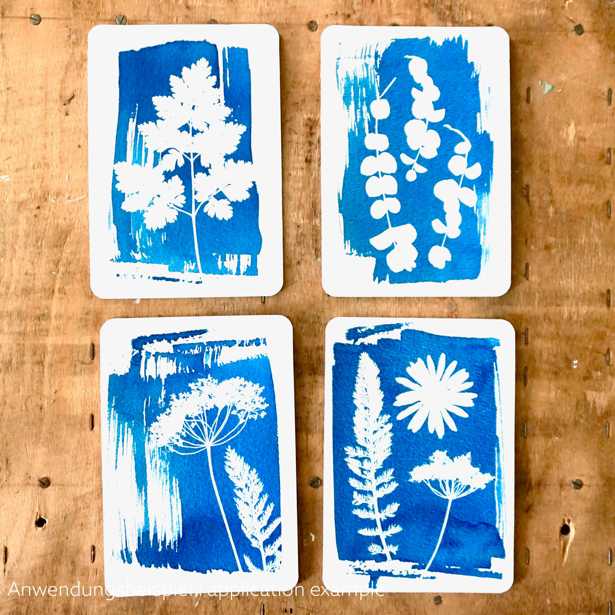 4 beispielhafte Cyanotype-Postkarten