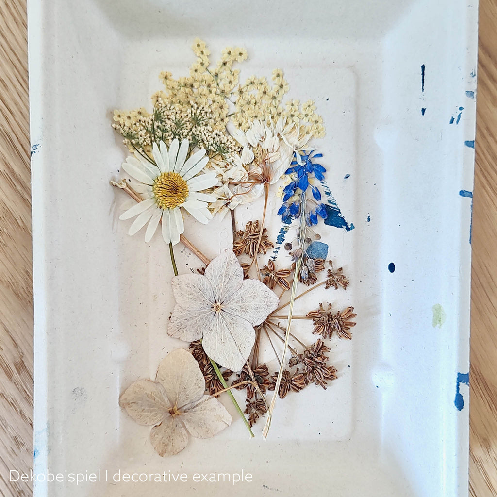 Dekobild: Gepresste Blumen